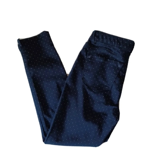 Wit & Wisdom L103Y4SL Ab-Solution Polka Dot Ankle Pants Skimmer High Rise Sz 2 - Picture 2 of 12